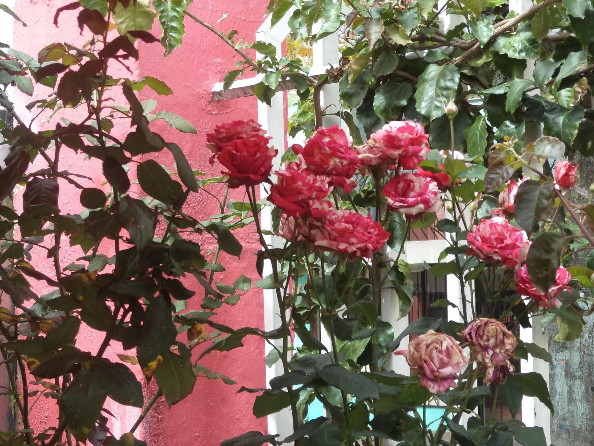 Hostal Imperial Quito Dış mekan fotoğraf